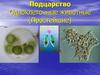 Подцарство Одноклеточные животные (Простейшие)