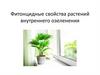 Фитонцидные свойства растений внутреннего озеленения
