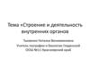 Строение и деятельность внутренних органов