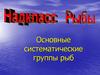 Основные систематические группы рыб. 7 класс