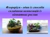 Флораріум - один із способів складання композицій із кімнатних рослин