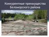Конкурентные преимущества Беломорского района
