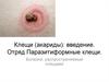 Клещи (акариды): введение. Отряд Паразитиформные клещи. Болезни, распространяемые клещами