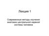 Анатомия центральной нервной системы человека