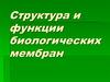 Структура и функции биологических мембран