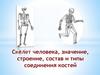 Скелет человека, значение, строение, состав и типы соединения костей