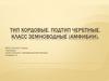 Тип хордовые. Подтип черепные. Класс земноводные (амфибии