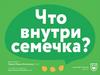 Что внутри семечка?