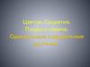 Однодольные и двудольные растения. Цветок. Соцветия. Плоды и семена
