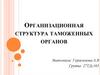 Организационная структура таможенных органов