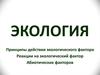 Экология. Принципы действия экологического фактора. Реакции на экологический фактор. Абиотических факторов