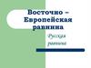 Восточно – Европейская равнина. Русская равнина