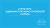 Структура административно-правовой нормы