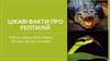 Цікаві факти про рептилій