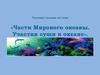 Тестовое задание по теме «Части Мирового океана. Участки суши в океане»