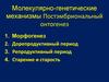 Молекулярно-генетические механизмы. Постэмбриональный онтогенез
