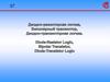 Цифровая схемотехника. Диодно-резисторная логика. Диодно-транзисторная логика. Биполярный транзистор