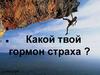 Гормон страха. Адреналин