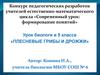 Плесневые грибы и дрожжи. 5 класс. Конкурс педагогических разработок