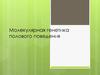 Молекулярная генетика полового поведения
