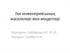 Ген инженериясының мәселелері мен міндеттері