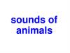 Sounds of animals
