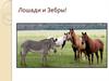 Лошади и зебры
