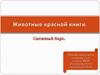 Животные красной книги