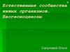 Естественные сообщества живых организмов. Биогеоценозы