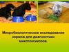 Микробиологическое исследование кормов для диагностики микотоксикозов
