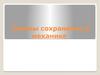 Законы сохранения в механике