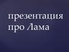 Род ламы