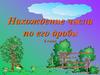 Нахождение числа по его дроби