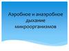 Аэробное и анаэробное дыхание микроорганизмов