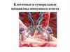 Клеточные и гуморальные механизмы иммунного ответа