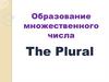 Образование множественного числа. The Plural