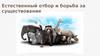 Естественный отбор и борьба за существование