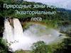 Природные зоны Африки: экваториальные леса