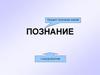 Процесс получения знаний. Познание гносеология