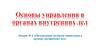 Организация системы управления в органах внутренних дел