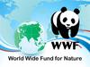 World Wide Fund for Nature