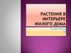 Растения в интерьере жилого дома
