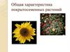 Покрытосеменные растения