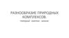 Разнообразие природных комплексов. Природный комплекс океанов