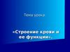 Строение крови и ее функции