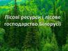 Ліси й лісові ресурси Білорусії