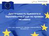 Деятельность адвоката в Европейском Суде по правам человека