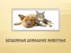 Бездомные домашние животные