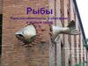 Рыбы. Приспособленность к обитанию в водной среде. 5
