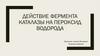 Действие фермента каталазы на пероксид водорода